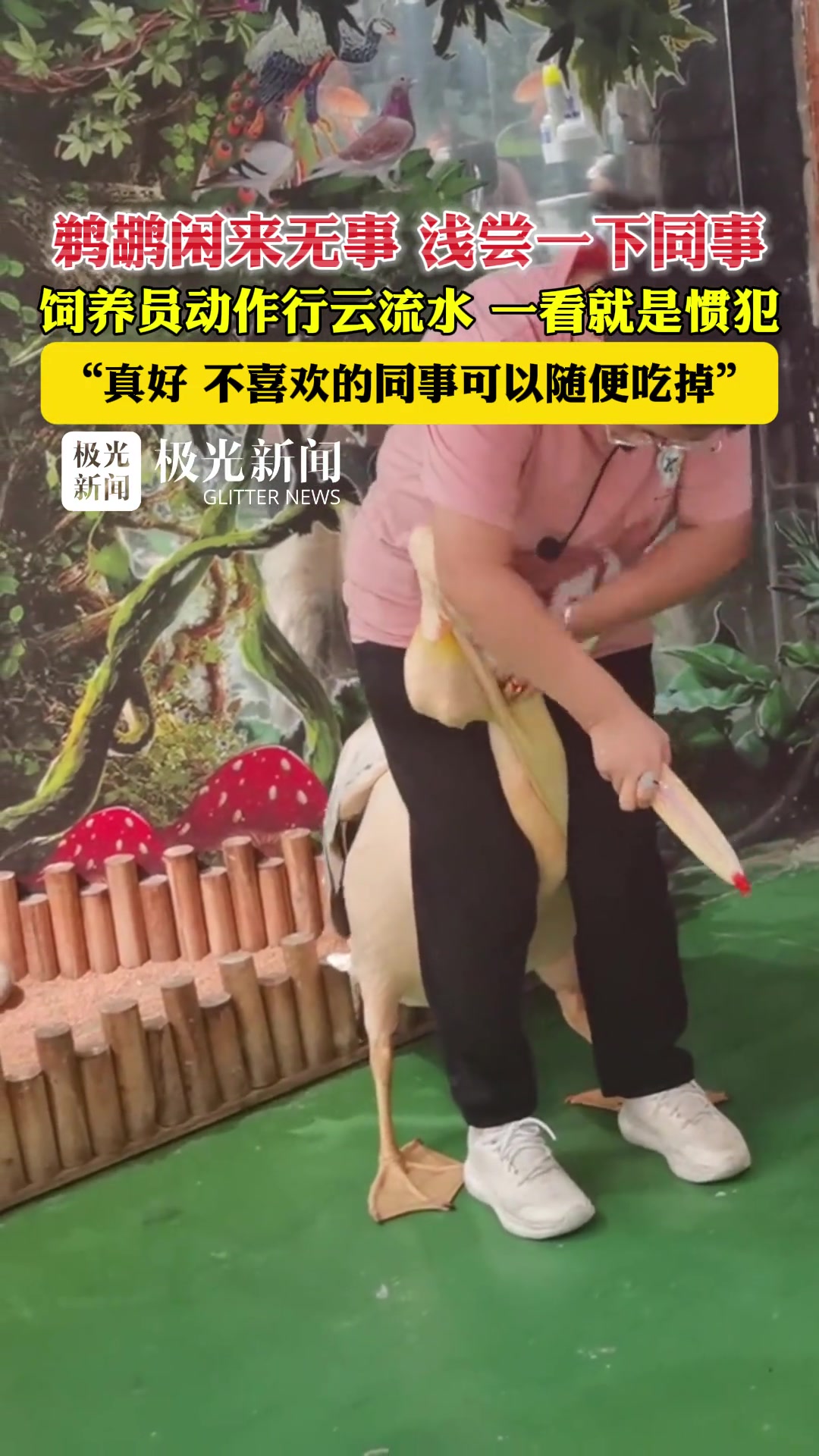 真好，不喜欢的同事可以随便吃掉！