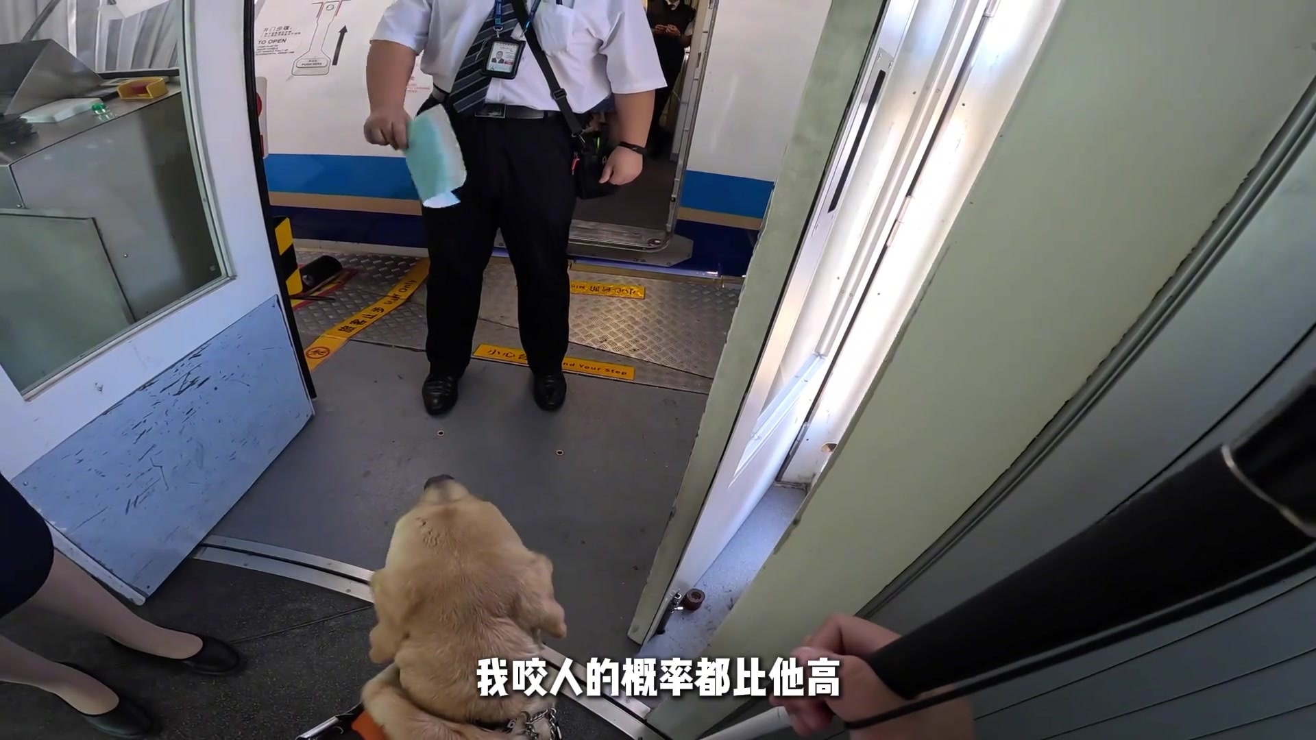 我咬人的概率都比它高！