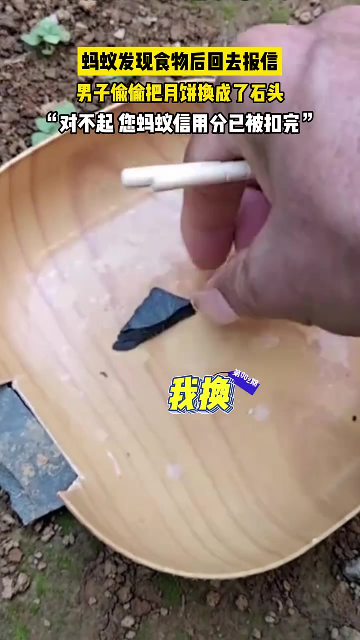 蚂蚁发现食物后回去报信，男子又偷偷把月饼换成了石头
