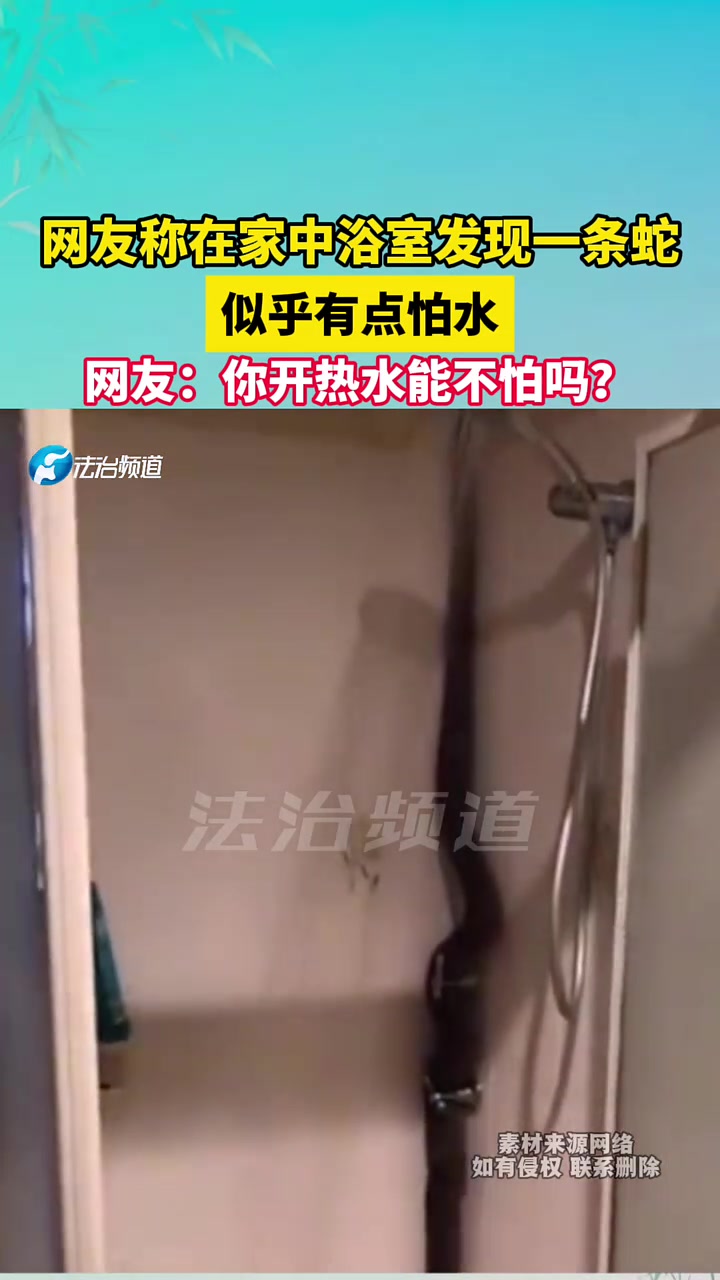 这真的是蛇吗它在伪装水管