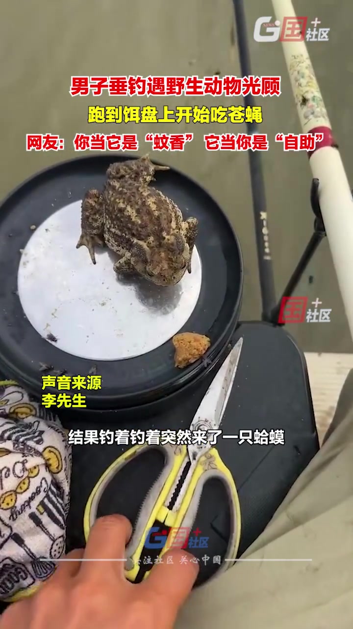 惊呆了！男子垂钓遇野生动物光顾：这宠物是真小众