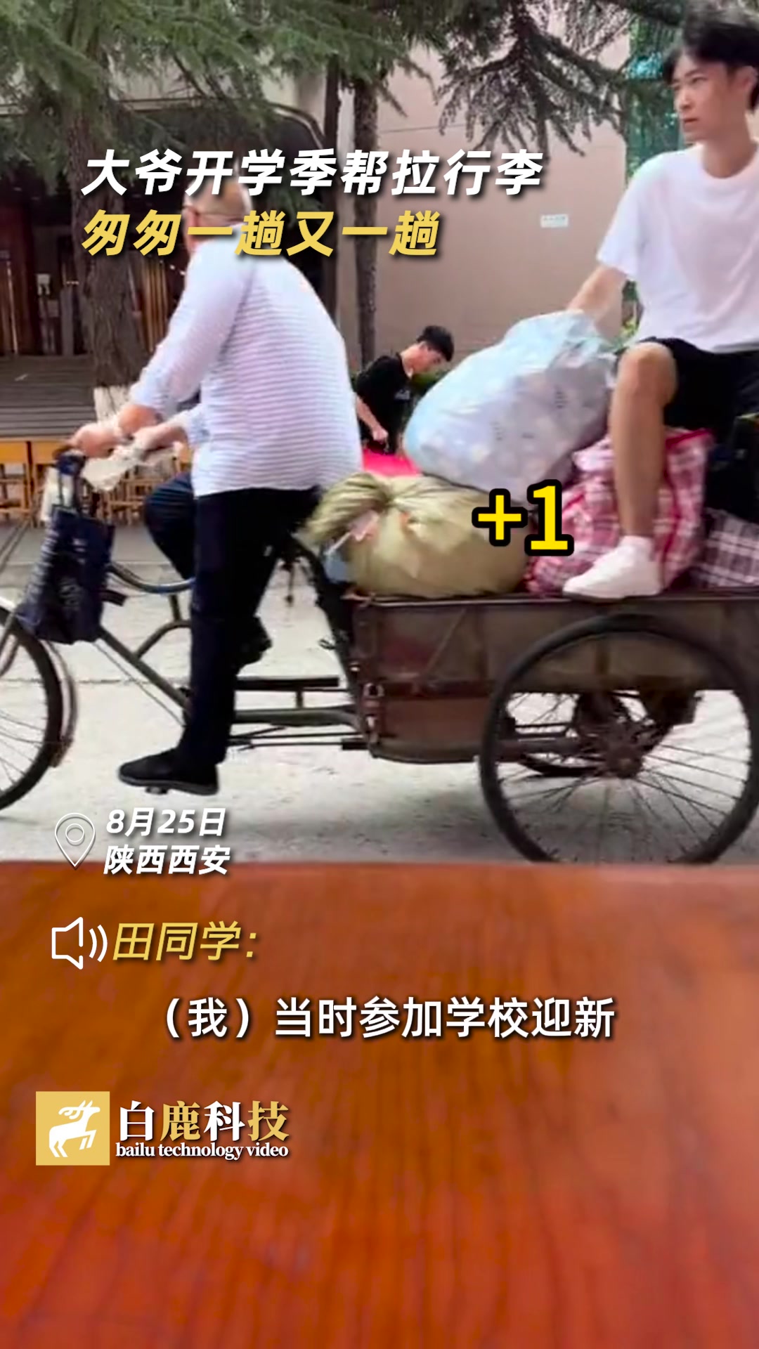 大爷开学季帮拉行李匆匆一趟又一趟