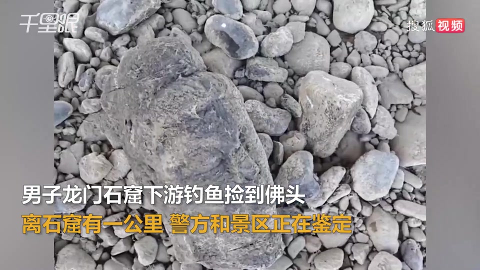 钓鱼佬龙门石窟下游捡到佛头：已报警上交