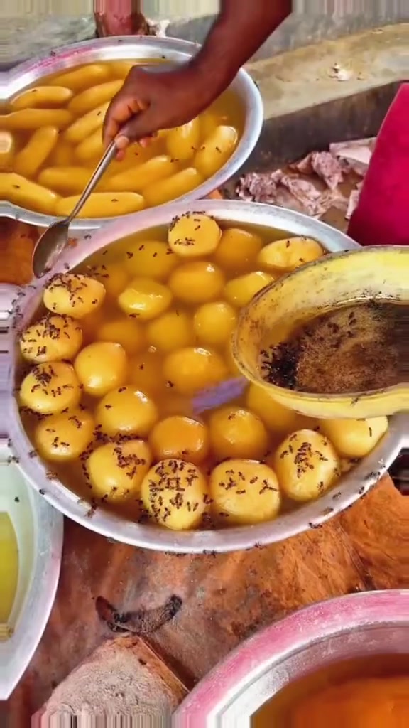 大自然的认可！这才是真正的纯天然美食