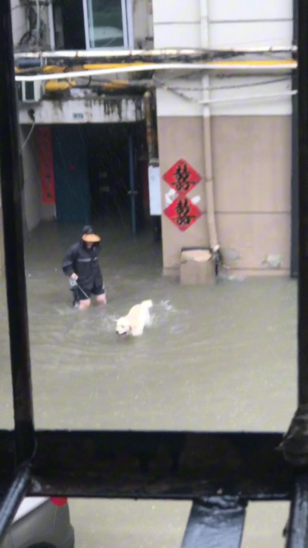 大狗：今天高兴死了小狗：今天死了