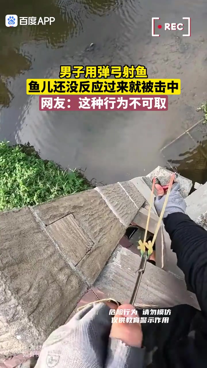 男子用弹弓打鱼，你这也太准了吧！！
