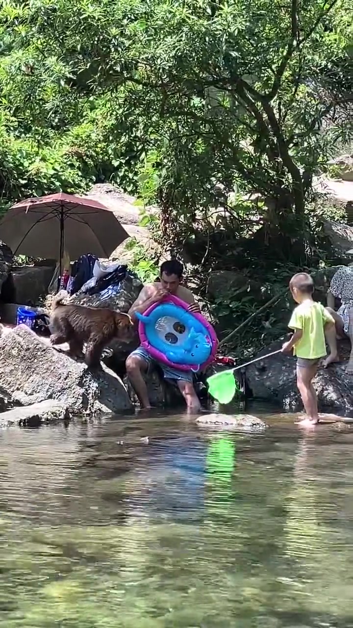 以为猴子找小朋友玩，到身边上嘴了家长才意识到不对劲