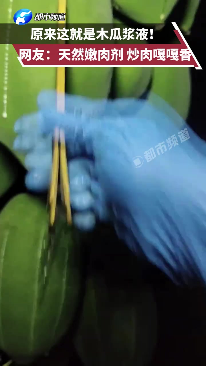 木瓜原浆是拿来做啥的呀，这和那个玩意划拉出来的好像