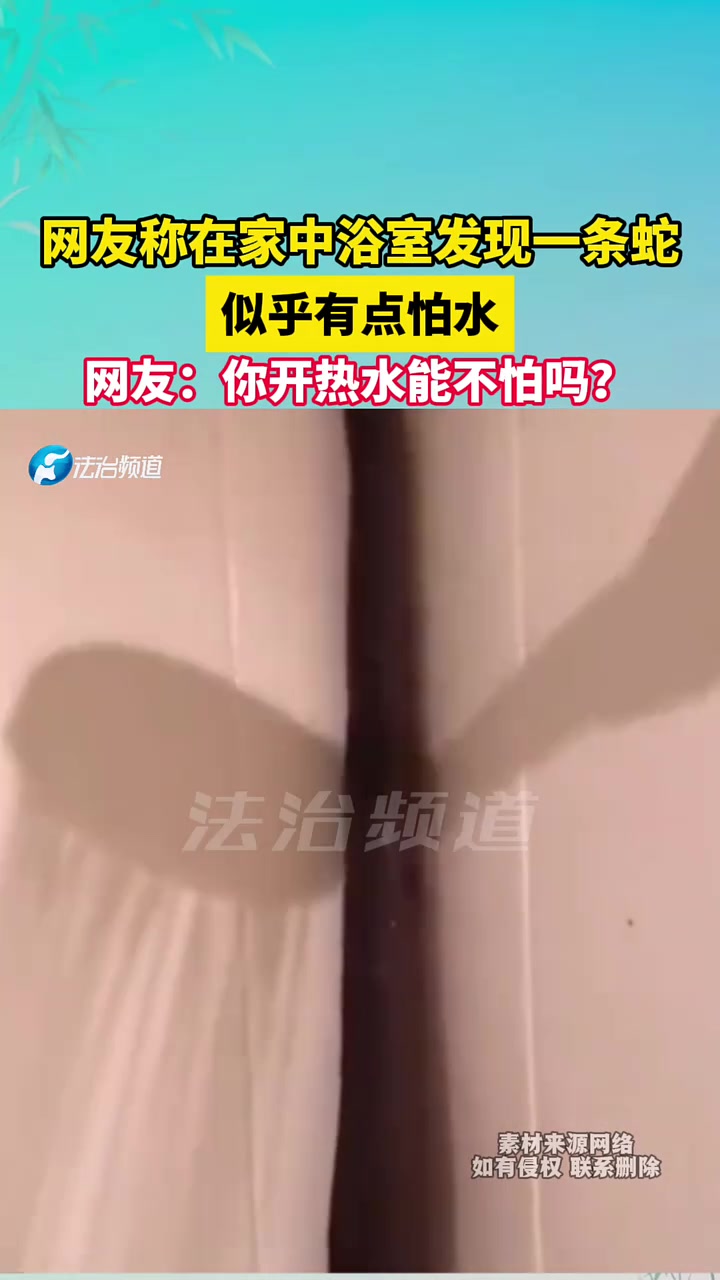 网友称在家中浴室发现一条蛇，似乎有点怕水！