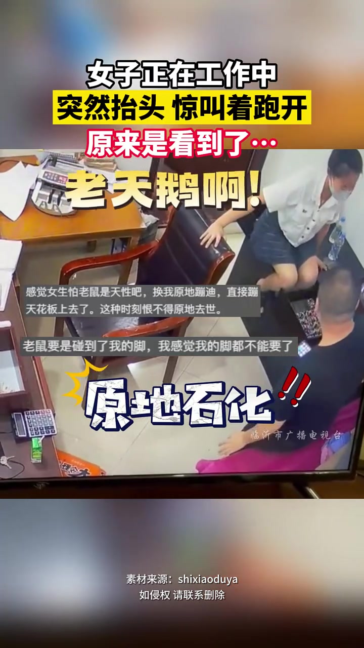 看到老鼠而已！有必要反应这么大吗！