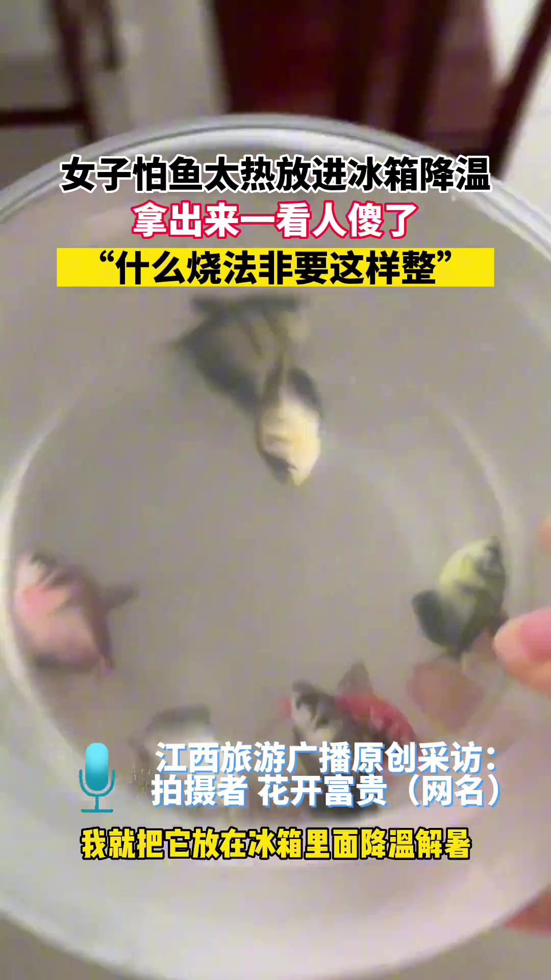 这操作！女子怕鱼太热放进冰箱降温拿出来一看人傻了