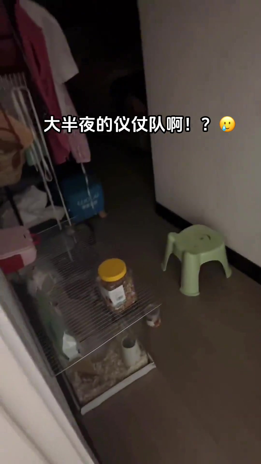 这耗子，大晚上自律上了！