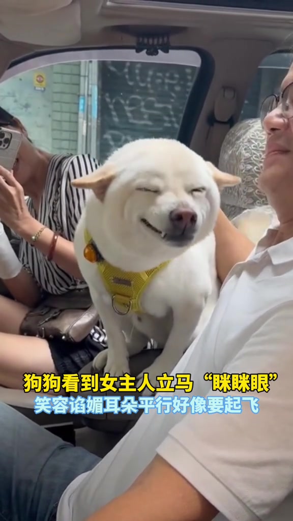 舔狗为啥叫舔狗，这下看明白了