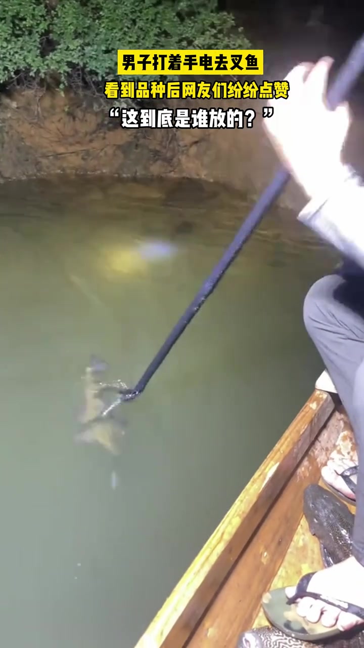 男子打着手电叉清道夫,网友们看到后纷纷支持！