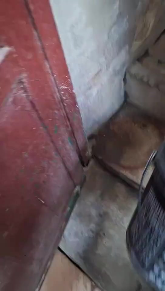 一次性碗洗了重新用