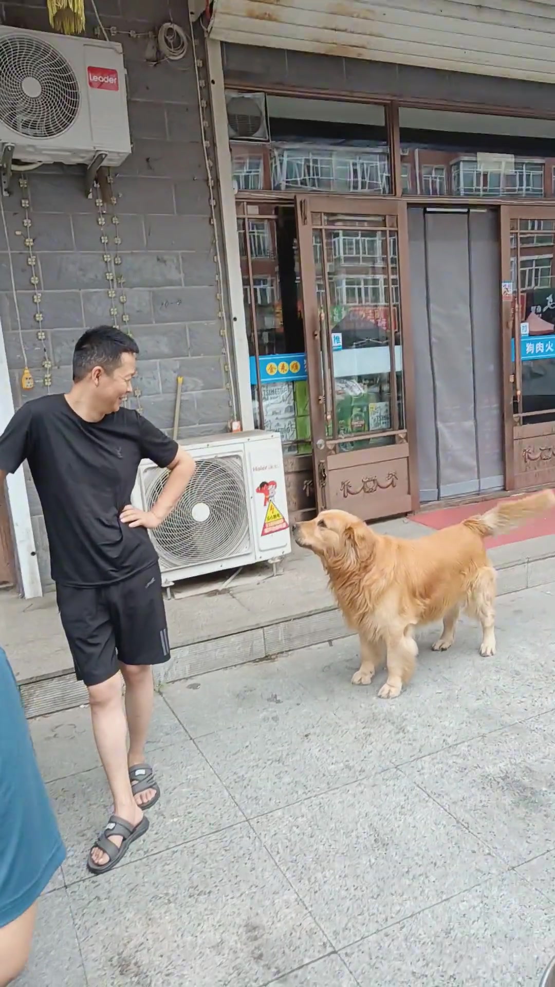 金毛隔三差五就找狗肉馆老板一顿输出！