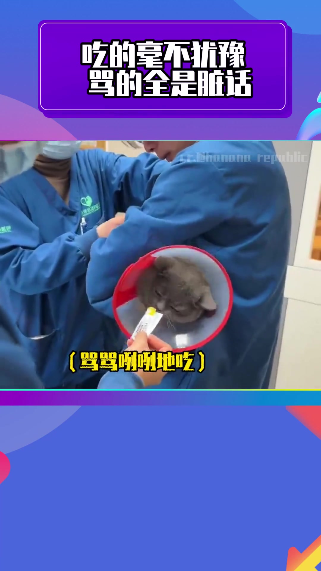 带猫去打针，猫猫在痛苦和吃之间选择了痛苦的吃