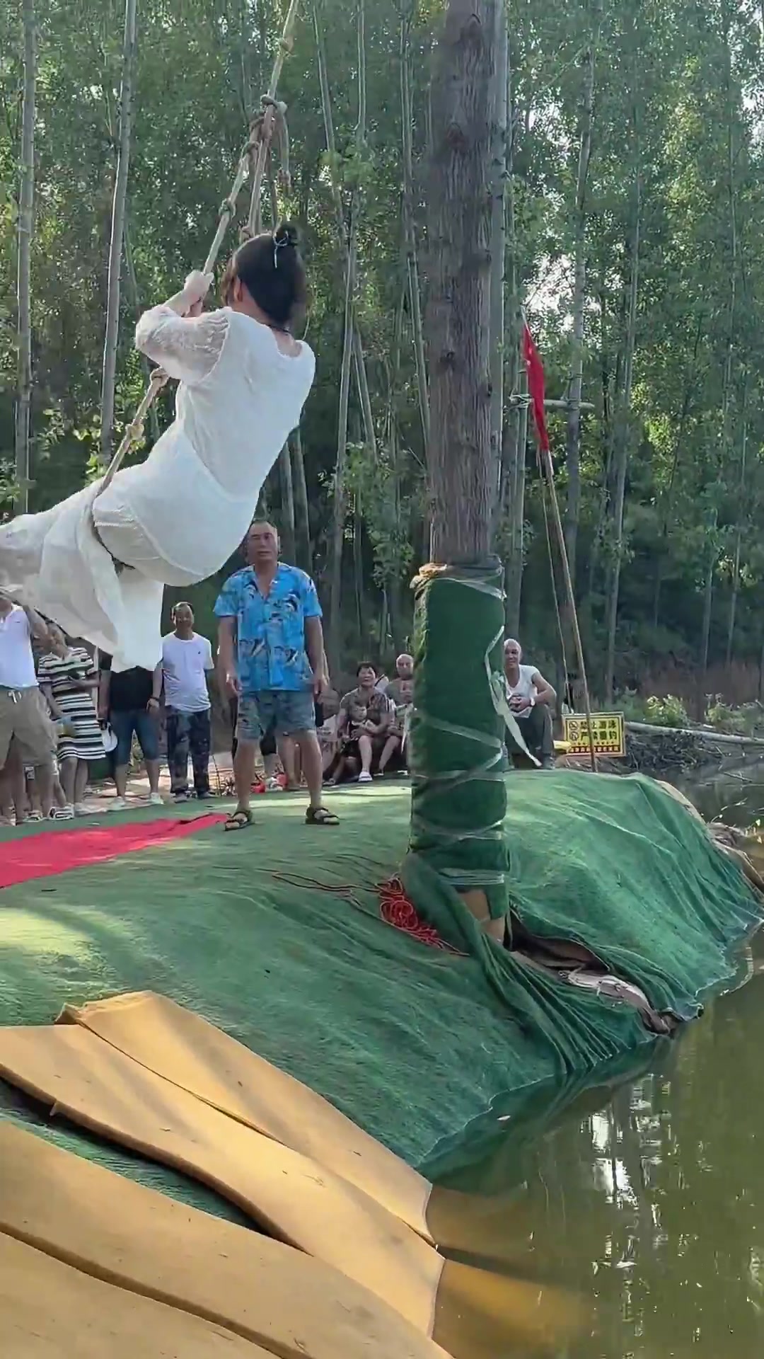 树都包着了，估计是撞了不少人了