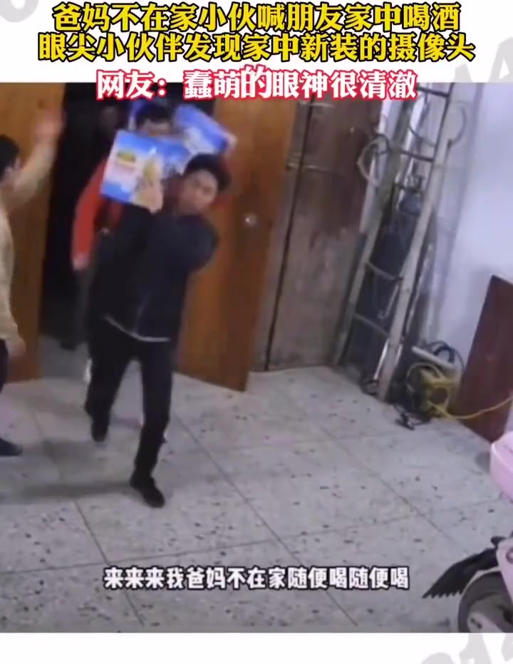 蠢萌的眼神很清澈