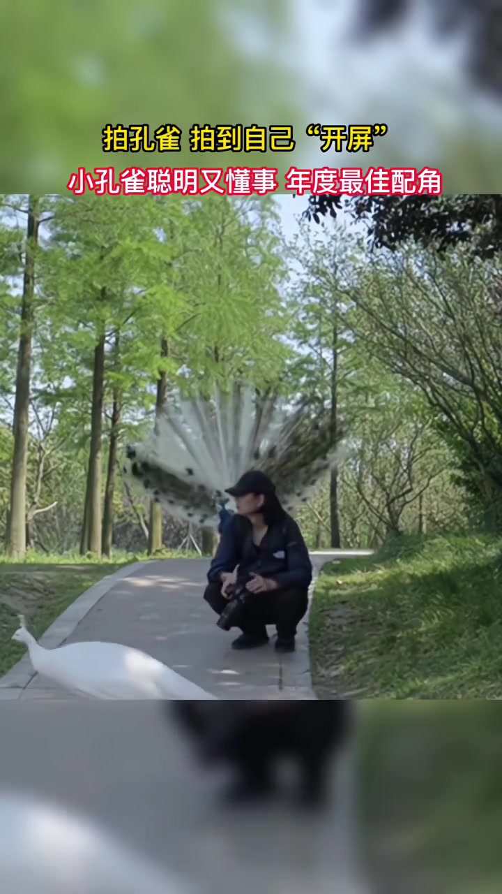 摄像：不是我拍谁谁不开是吧