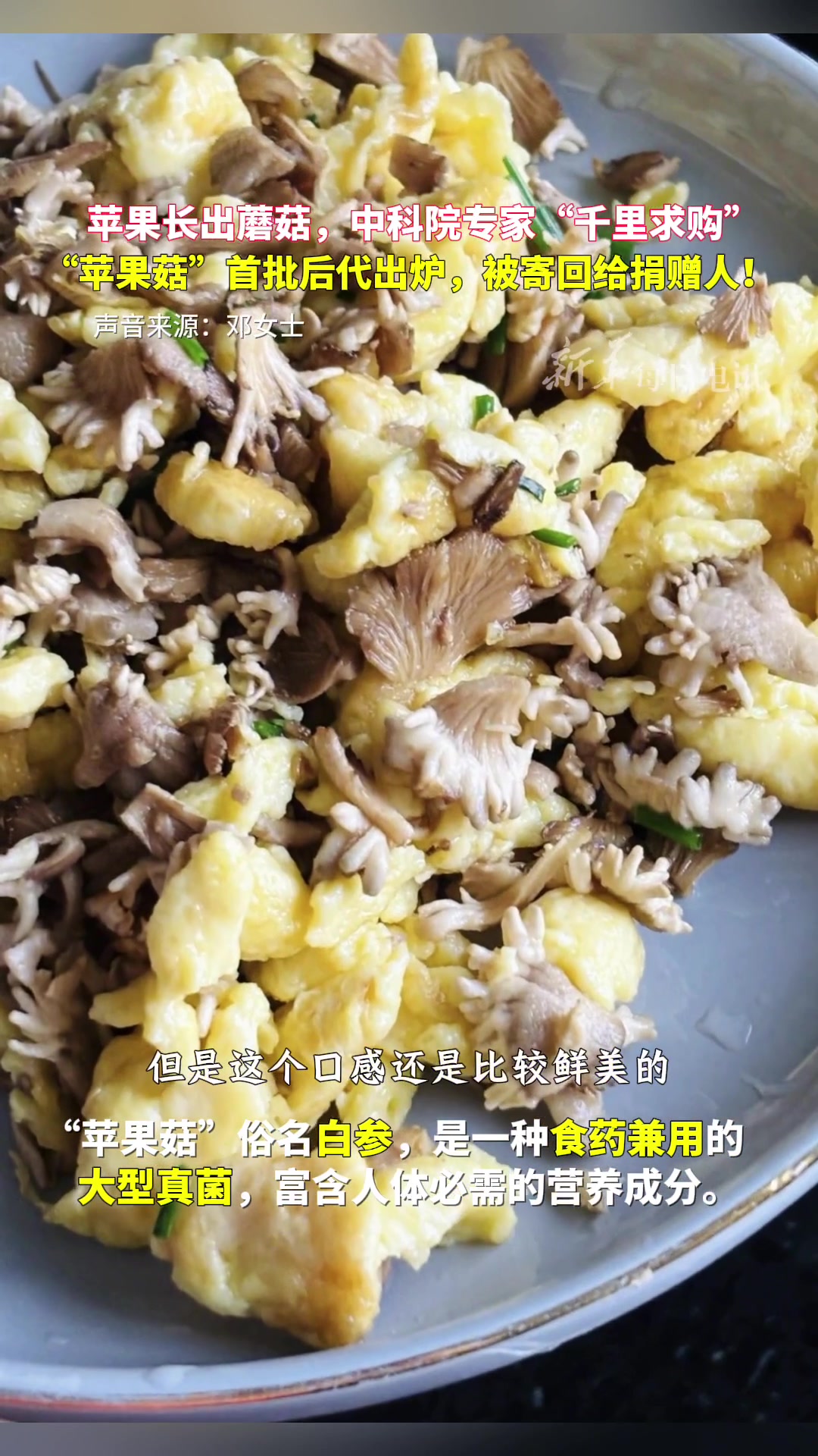 苹果长出蘑菇！中科院专家“千里求购”