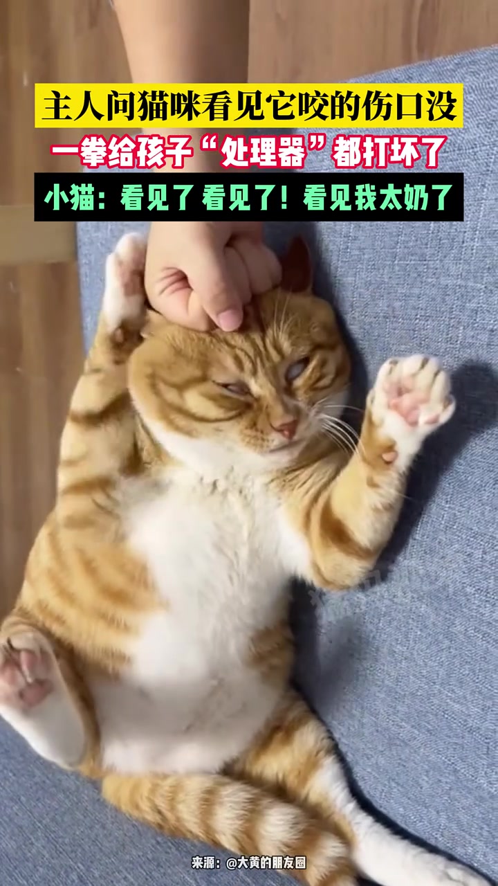 看见了看见了！看见我太奶了！