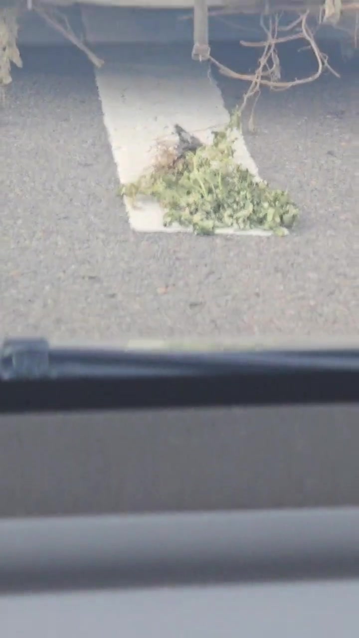 这是一辆有故事的车...