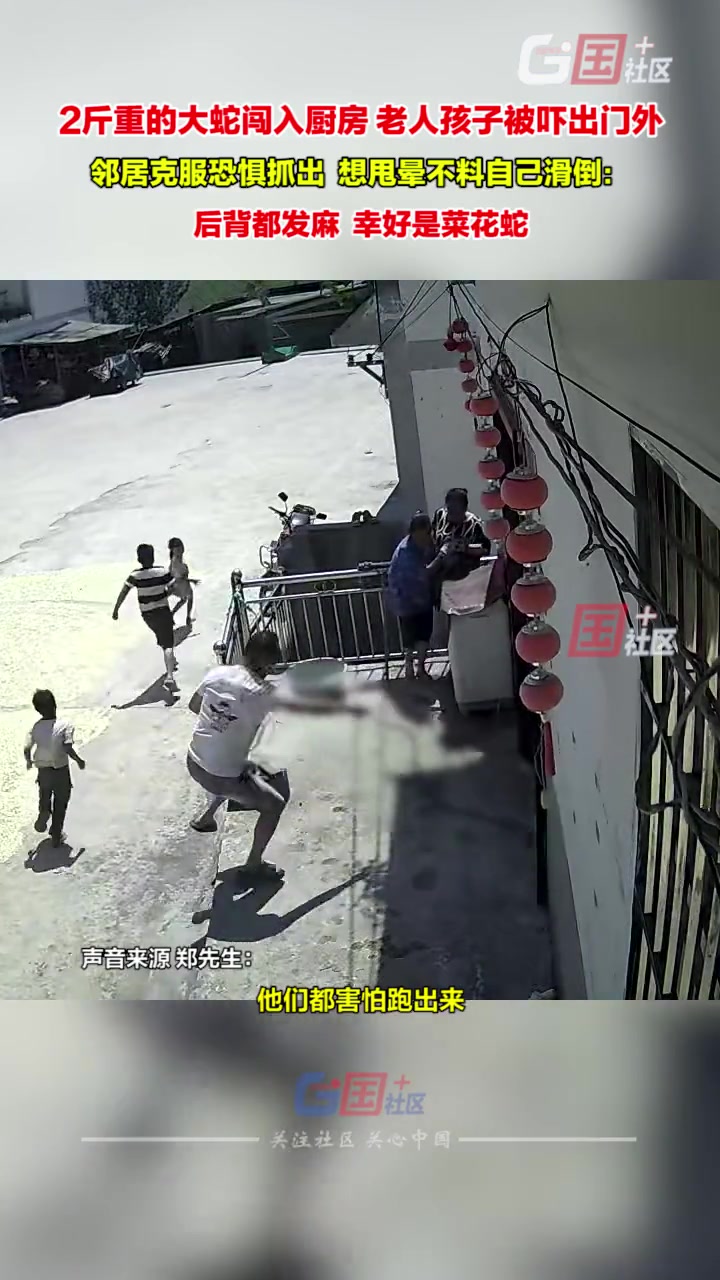 大蛇闯入厨房吓坏了老人孩子邻居抓出想甩晕它不料自己滑倒