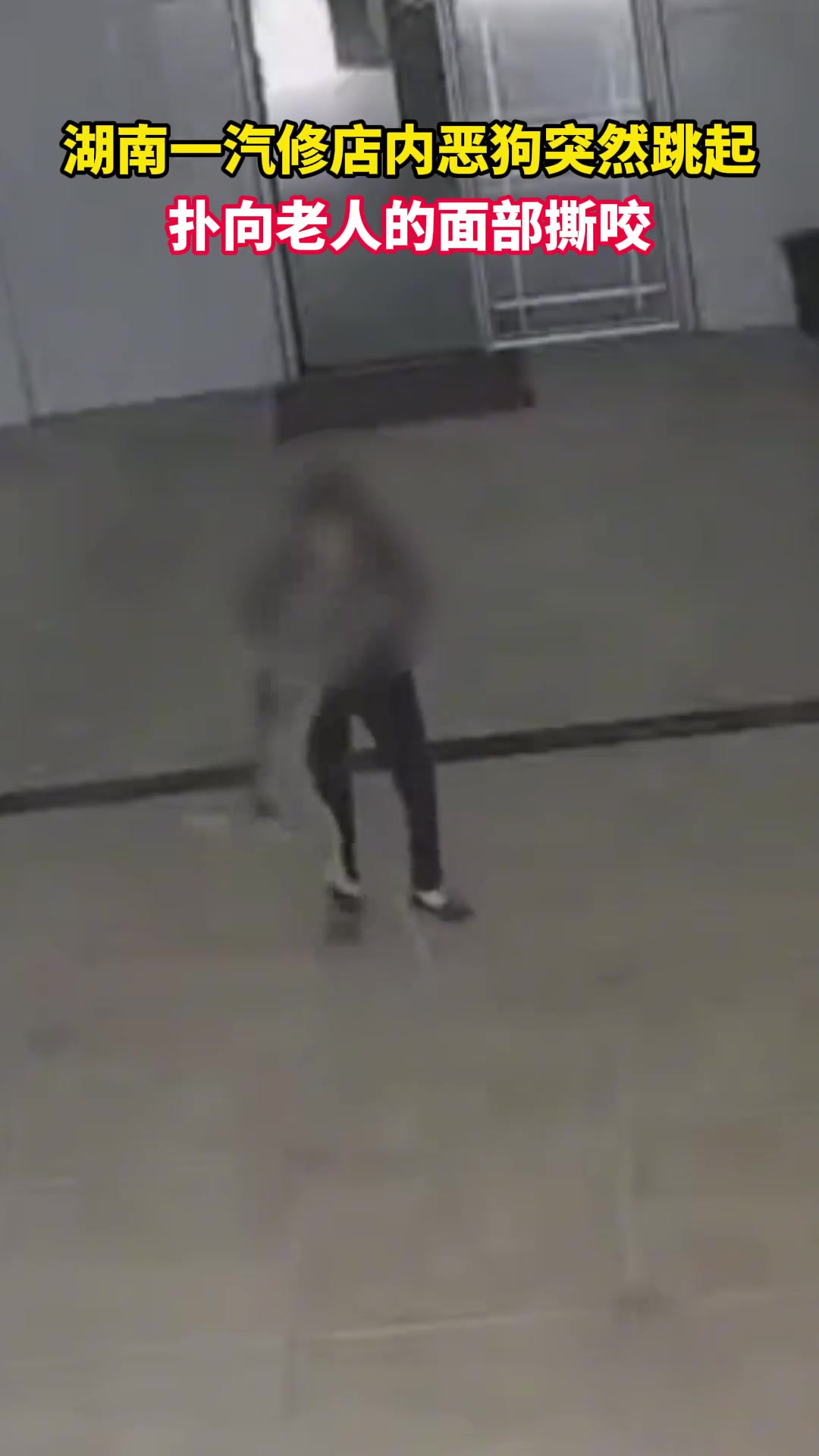 可怕！一汽修店内恶狗突然跳起扑向老人的面部撕咬