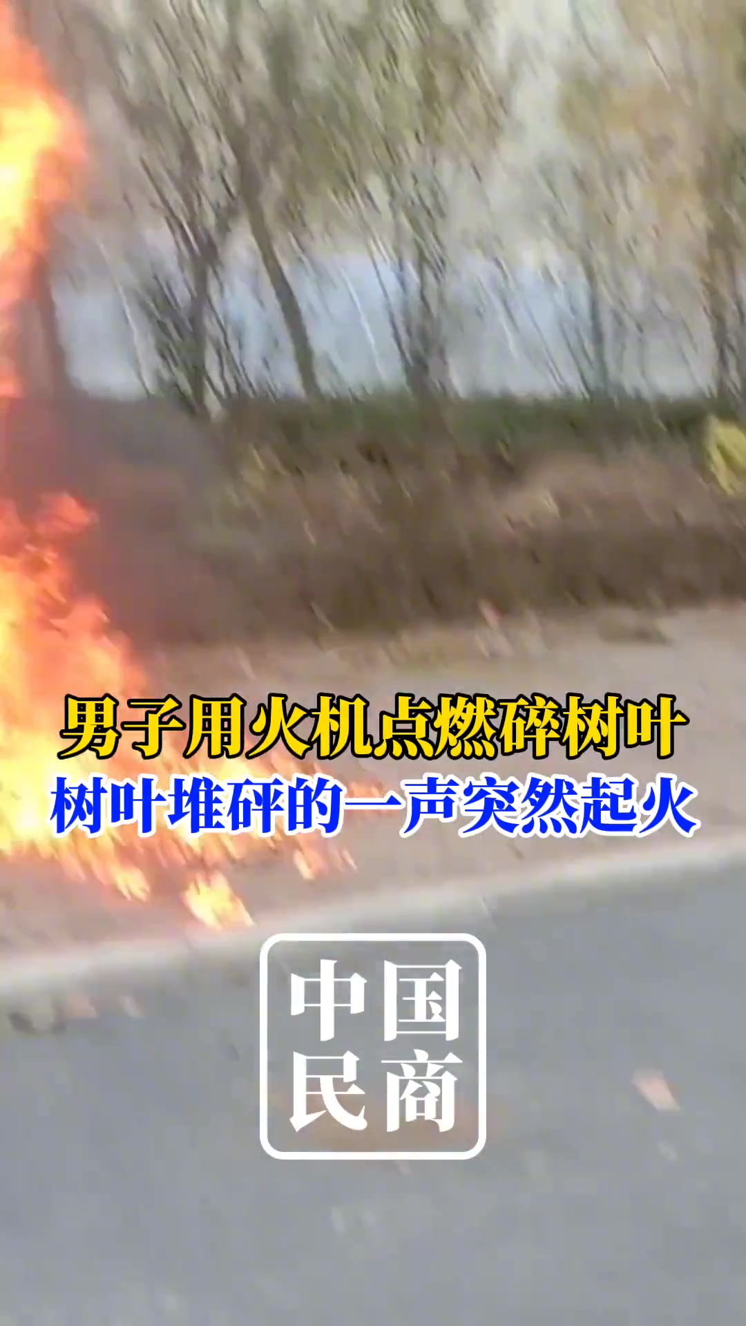危险瞬间！男子用火机点燃碎树叶树叶堆砰的一声突然起火