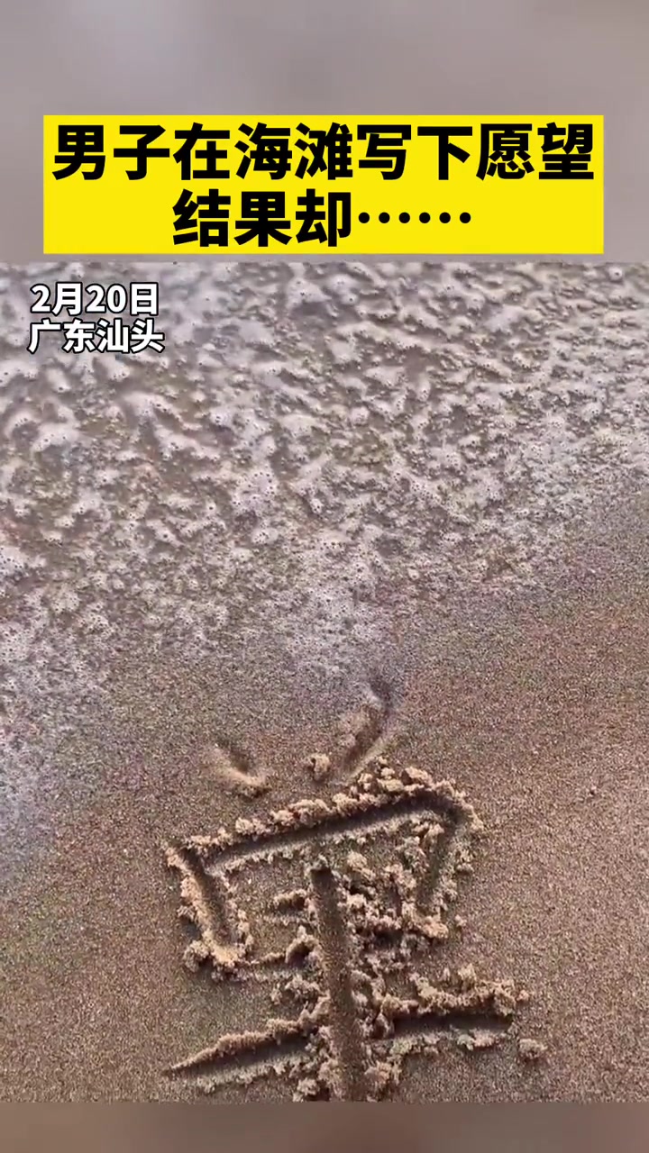 网友：别想了还是单着吧！