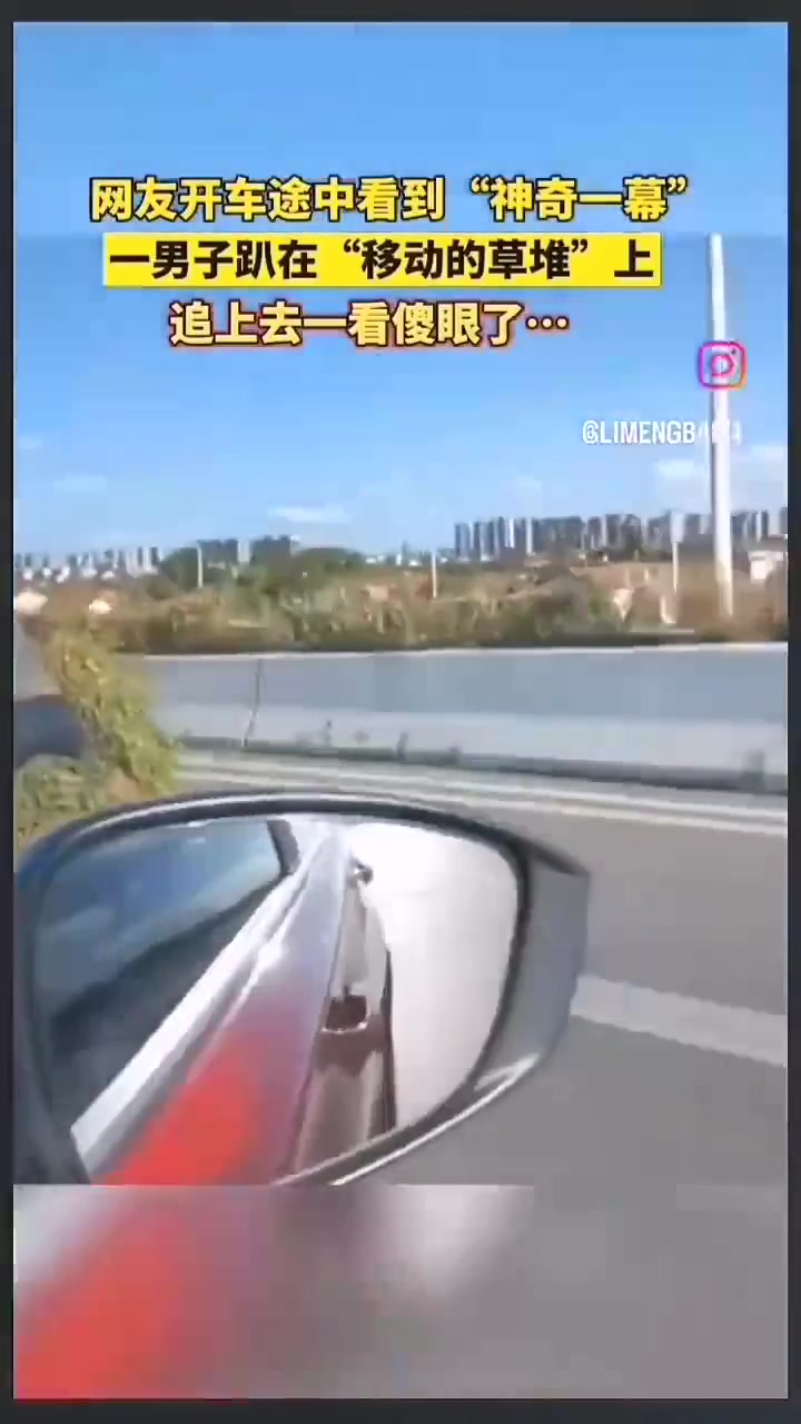 跟穿个吉利服似的...