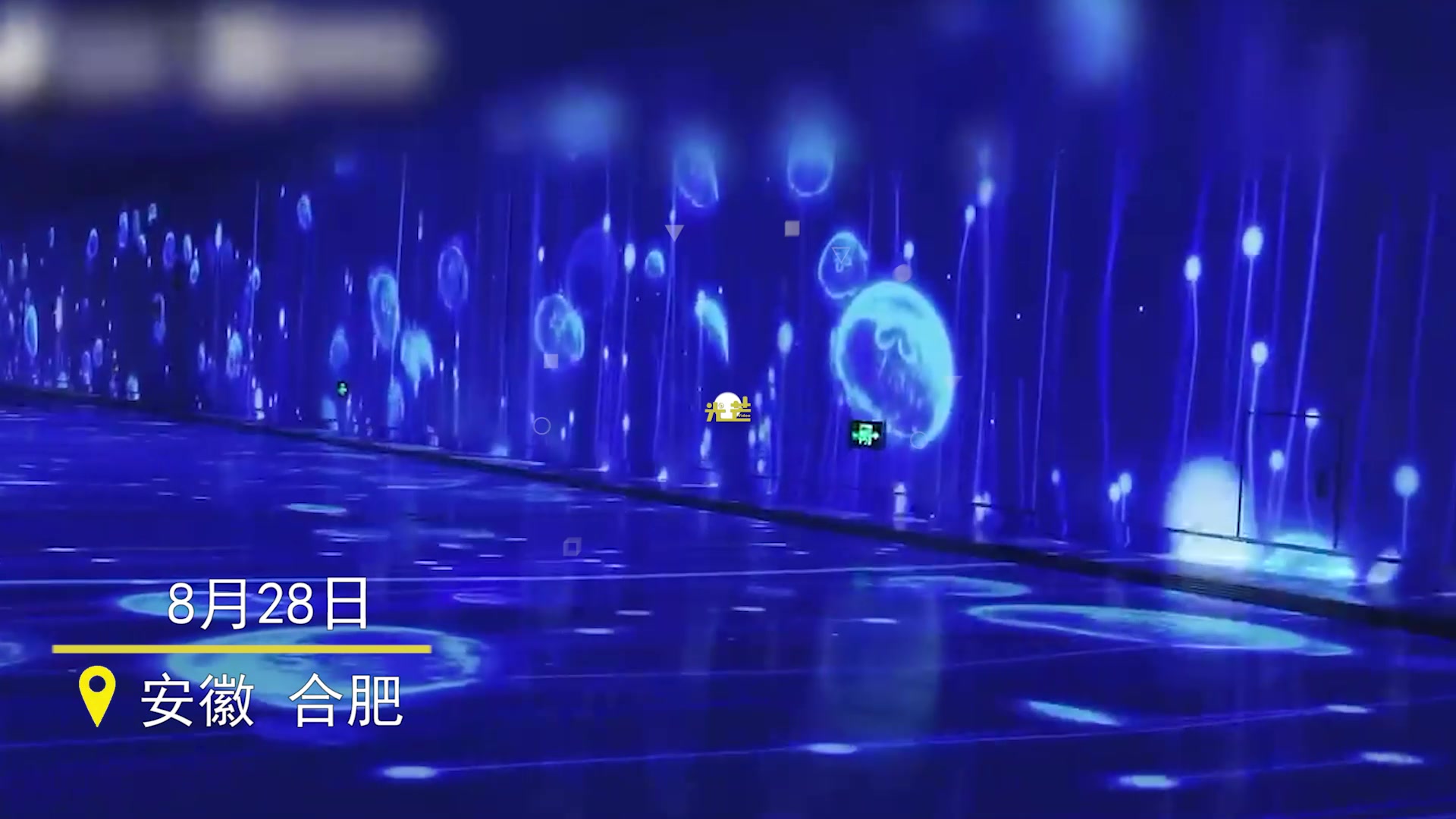 合肥这地铁站也太浪漫了吧！