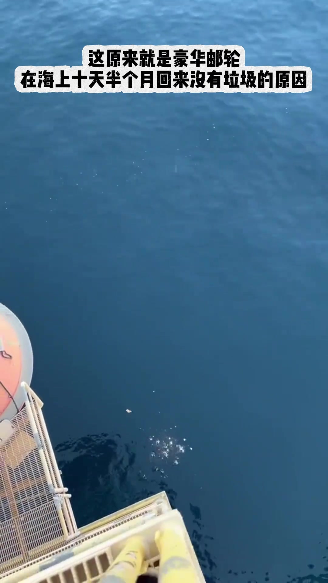 这原来就是邮轮上没有垃圾的原因呀