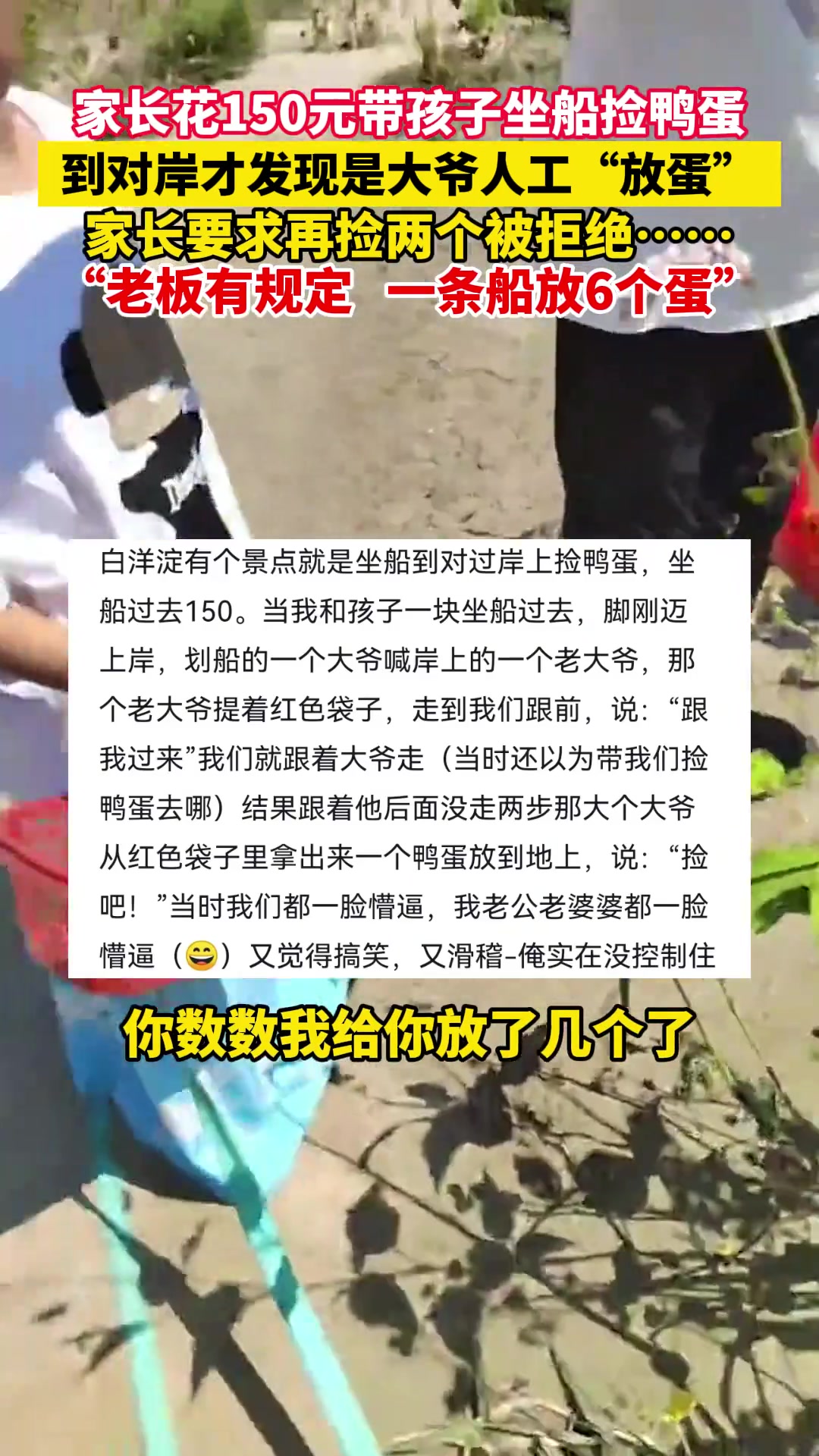 家长花150元带孩子坐船捡鸭蛋，到对岸才发现是大爷人工“放蛋”