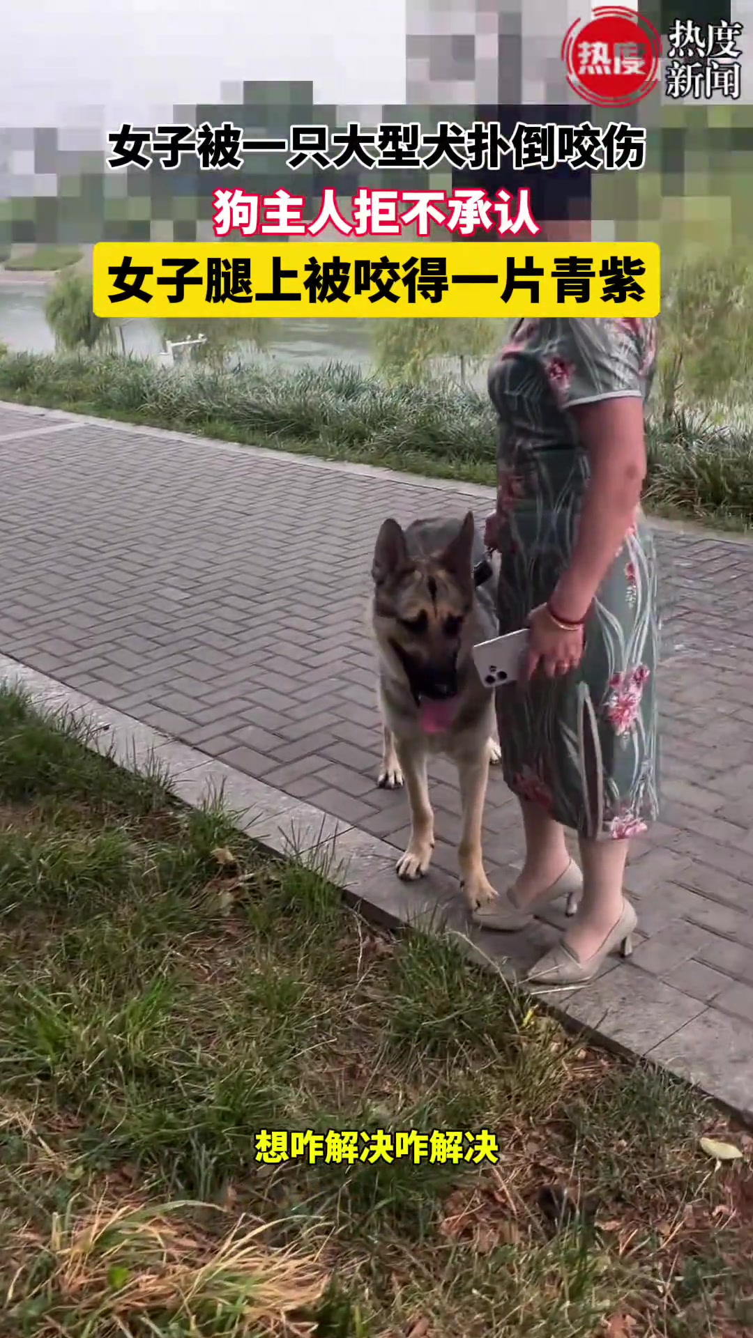 女子被一只大型犬扑倒咬伤，狗主人拒不承认！！