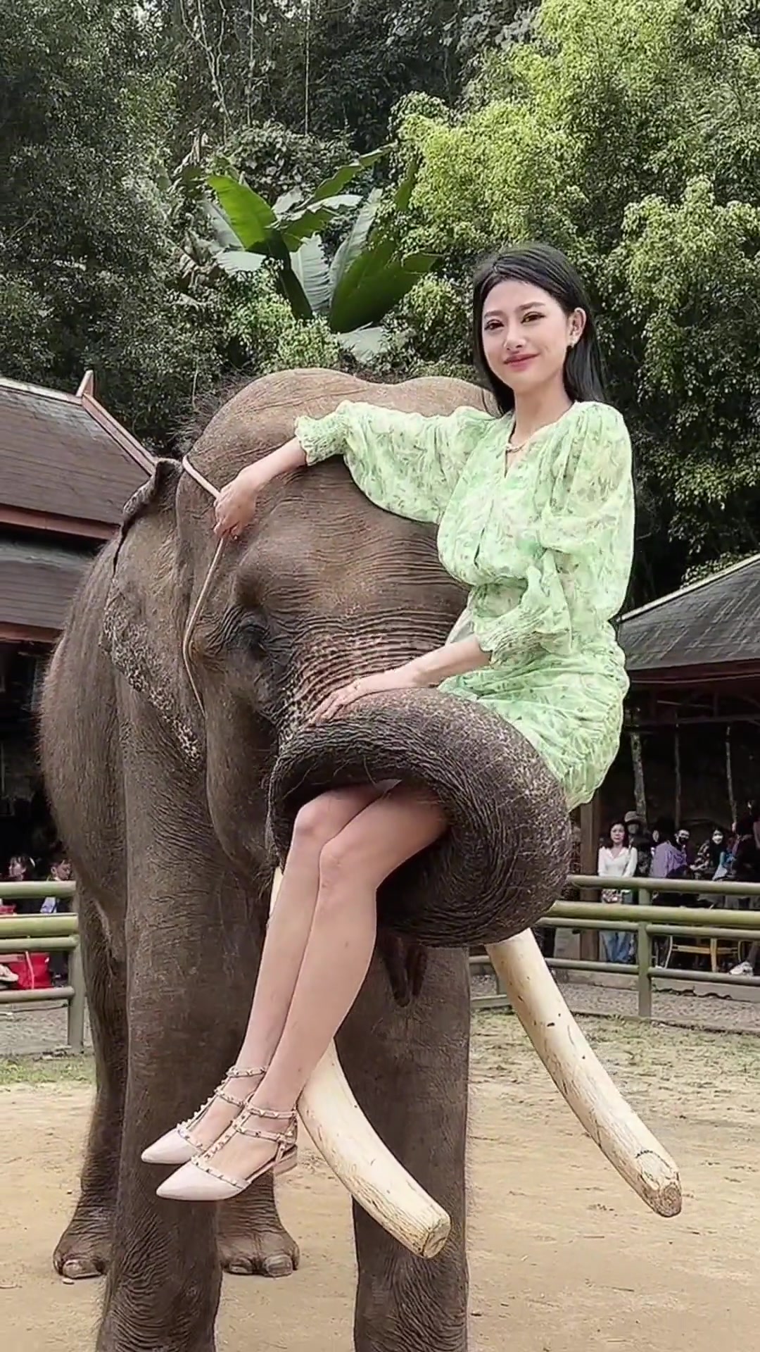 这大象拍照还挺好看的！