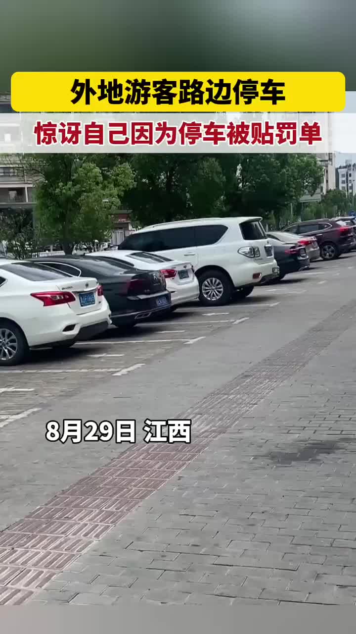 外地游客路边停车，惊讶自己因停车被贴罚单！