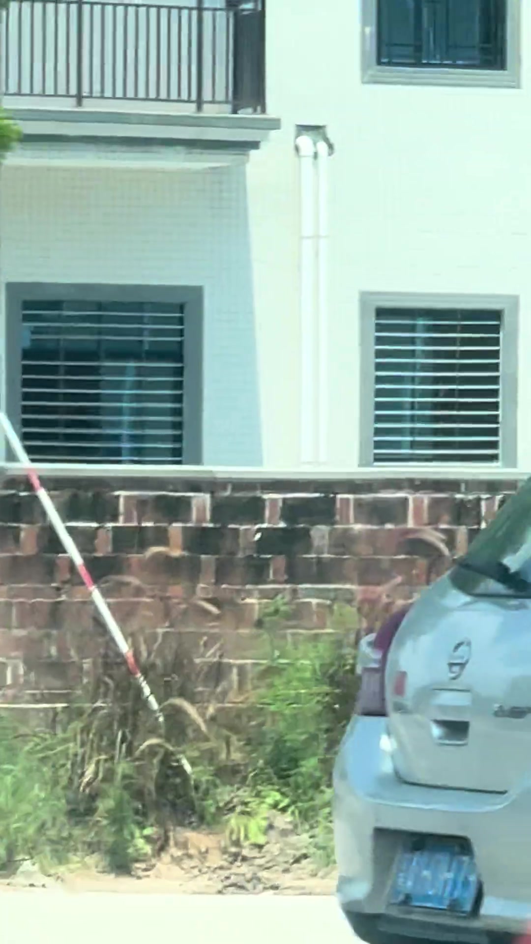 年纪轻轻就带两个妹子