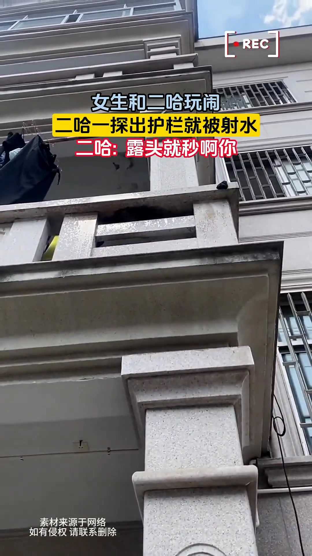 女生和二哈玩闹，二哈一探头就被射水