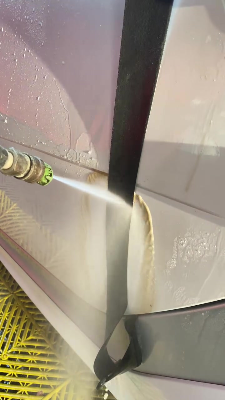 你们洗车洗安全带不