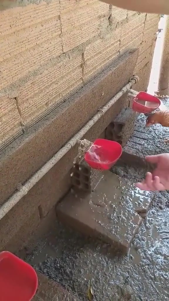 自动加水饮水器养鸡
