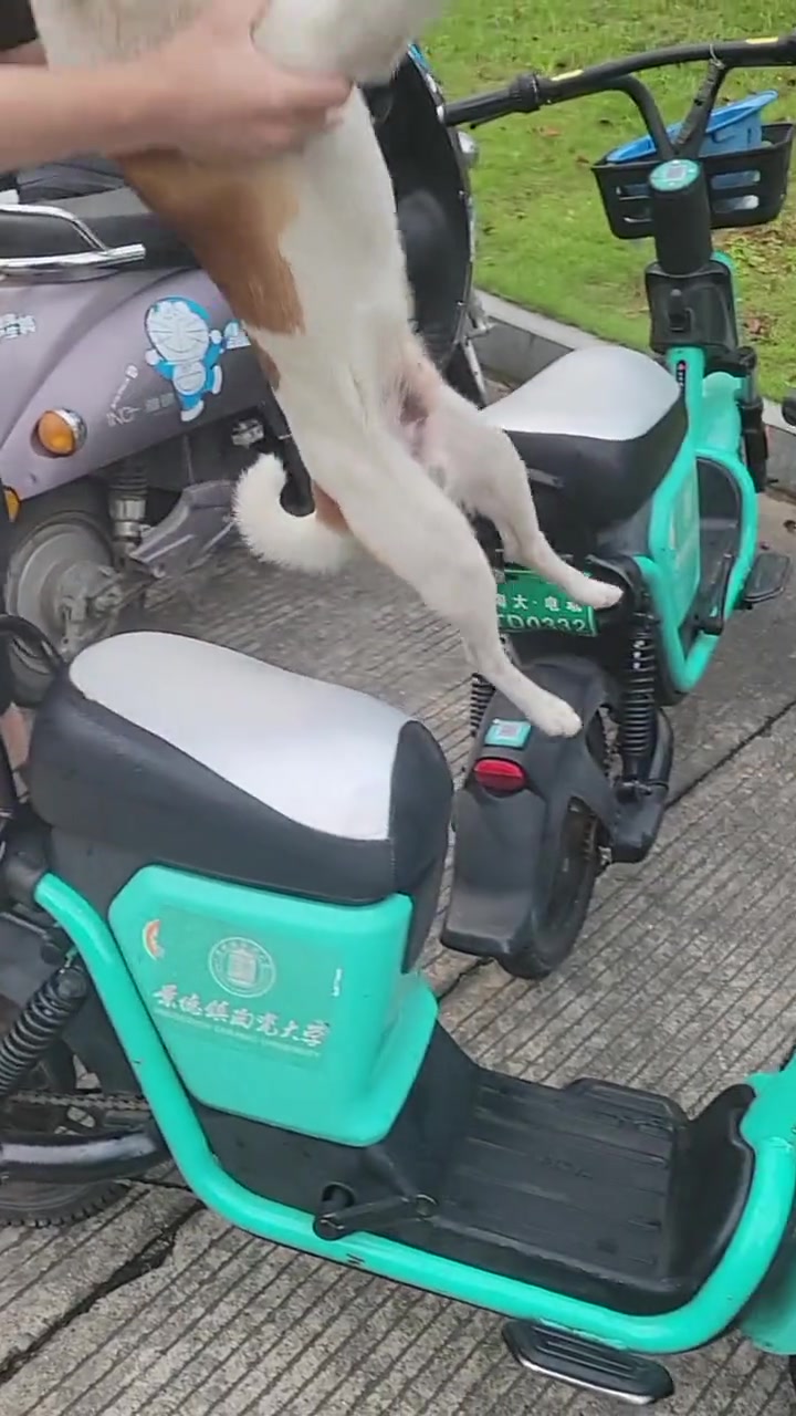 狗：我跟学弟心连心，学弟拿我当毛巾