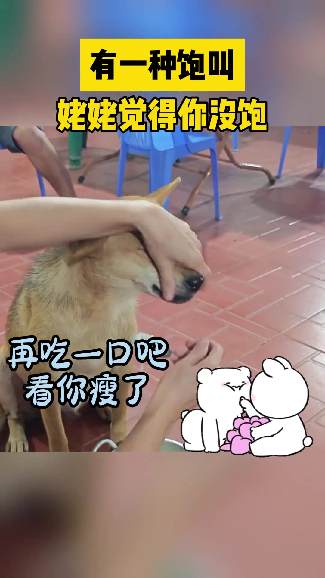 狗子：不晓得为什么，突然好想去流浪