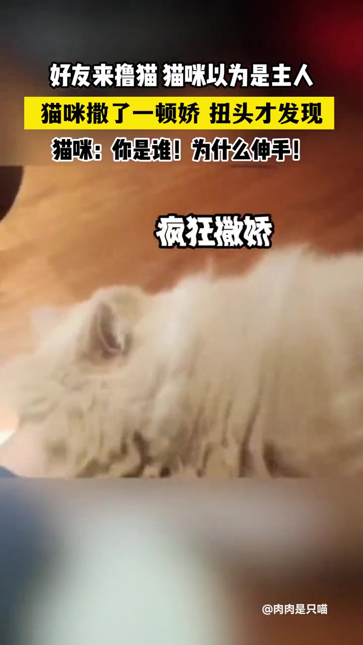 人家可不是随便的喵