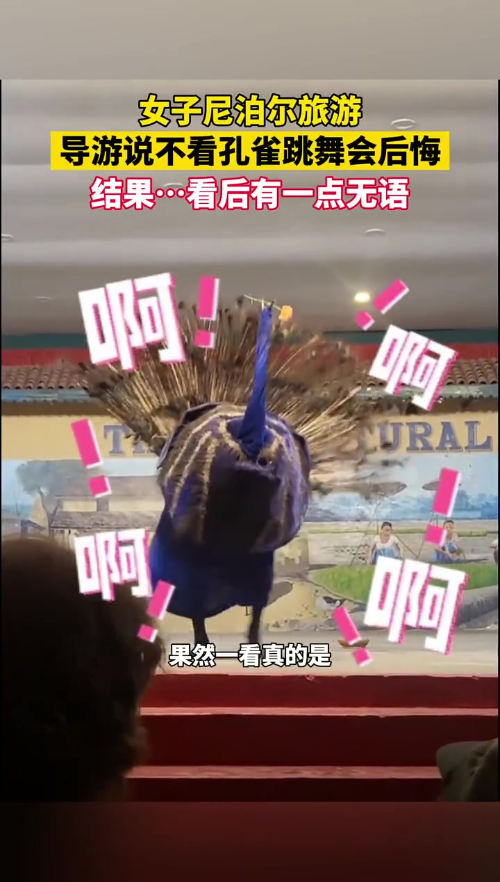 这是人扮演的孔雀，还是孔雀扮演人