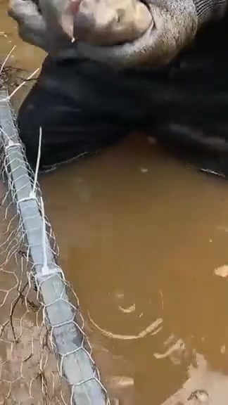 这水口钳可以呀