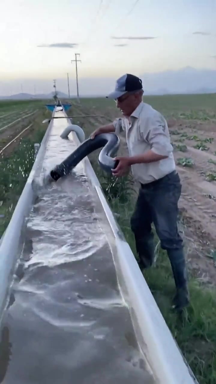 恒河水蟒蛇也得打标枪