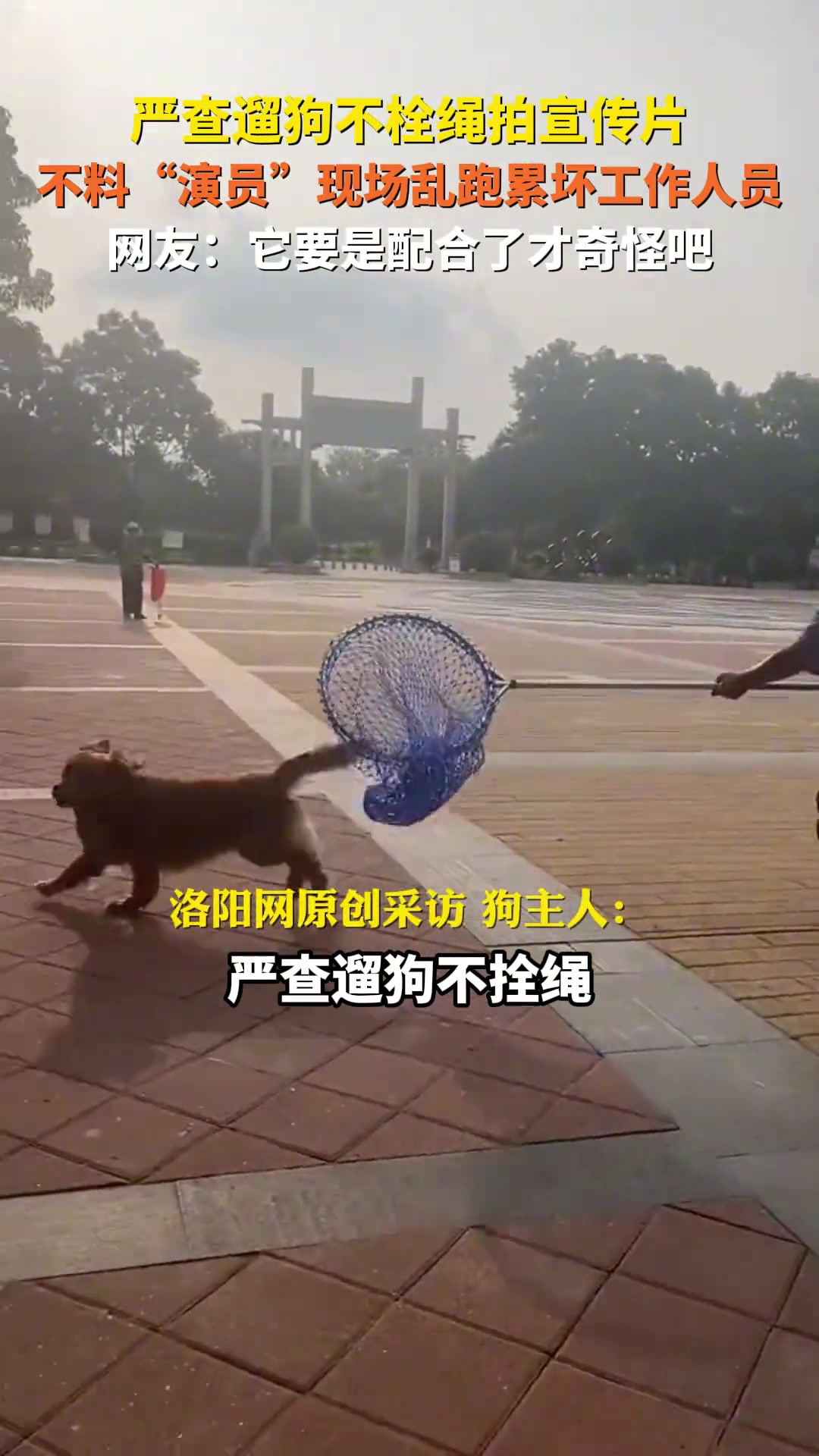 严查遛狗不栓绳拍宣传片，不料“演员”现场乱跑累坏工作人员！