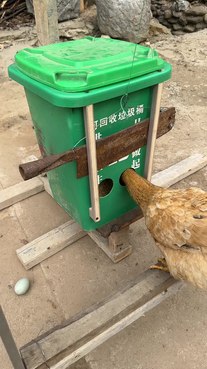 砍头是你的谎言吃鸡才是你的真谛